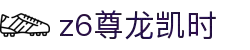 Z6尊龙·凯时(中国) - 官方网站
